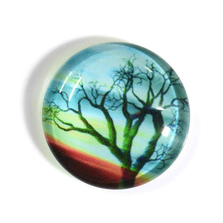 Cabujón Vidrio Domo Árbol de la Vida Diseño III a Elegir 25x6 mm | 1 unid.