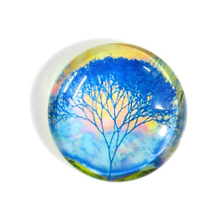 Cabujón Vidrio Domo Árbol de la Vida Diseño III a Elegir 25x6 mm | 1 unid.
