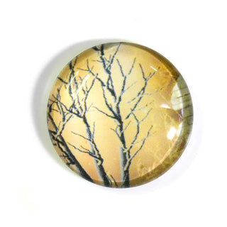 Cabujón Vidrio Domo Árbol de la Vida Diseño III a Elegir 25x6 mm | 1 unid.
