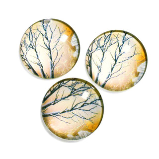 Cabujón Vidrio Domo Árbol de la Vida Diseño III a Elegir 25x6 mm | 1 unid.