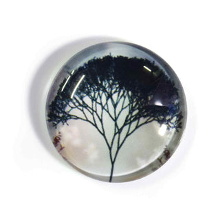 Cabujón Vidrio Domo Árbol de la Vida Diseño III a Elegir 25x6 mm | 1 unid.
