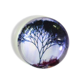 Cabujón Vidrio Domo Árbol de la Vida Diseño III a Elegir 25x6 mm | 1 unid.