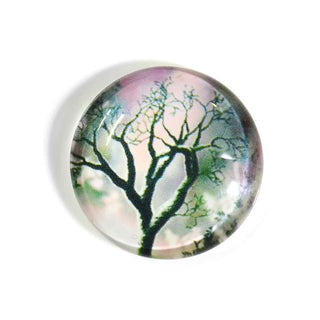 Cabujón Vidrio Domo Árbol de la Vida Diseño III a Elegir 25x6 mm | 1 unid.