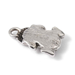 Dije Rana de la Fortuna con Moneda China Tono Plata Envejecida 17x11mm | 5 uds
