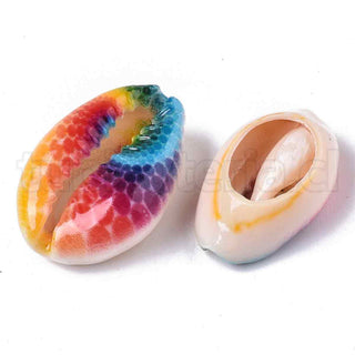 Abalorios de concha de cauri natural impresa, sin agujero/sin perforar, con patrón, multicolor, 18~21×12~15×7 mm.