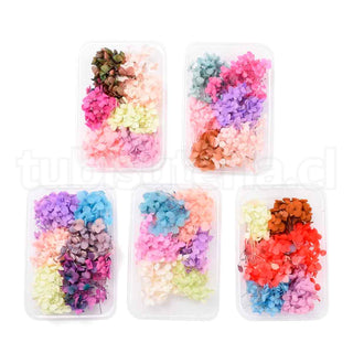 Flores secas, accesorios para hacer velas y jabones caseros, con caja rectangular de plástico, colores surtidos, 5,3~7 x 5,2~7 cm